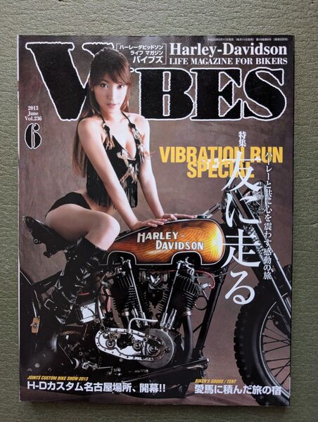☆良品☆ 雑誌 VIBES 2013年6月号 Vol.236