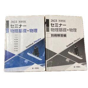 新課程版セミナー物理基礎+物理