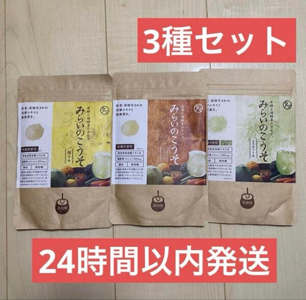 【新品未開封】 みらいのこうそ 100g 3袋 レモン味 マスカット味 柚子味
