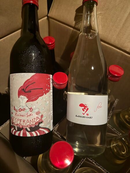 日本酒2種類12本セット 720ml