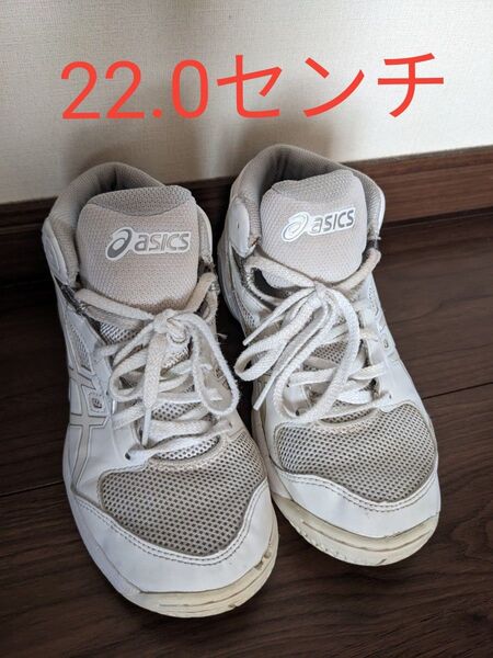 アシックス バスケットボールシューズ ダンクショット 22.0