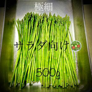 アスパラガス 極細サラダ向け