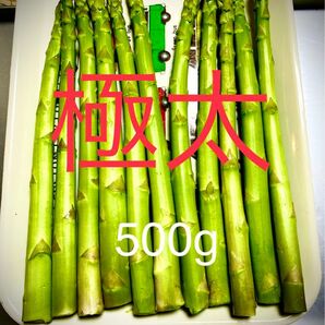 アスパラガス 極太