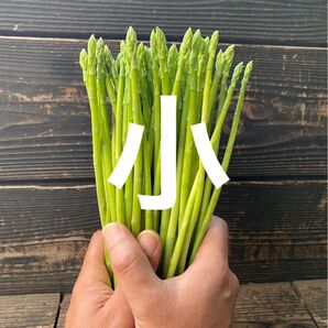 アスパラガス 小 1kg