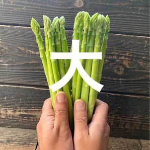 アスパラガス 大