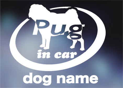 パグ in car ステッカー。犬ステッカー