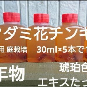 どくだみ花 チンキ ドクダミ花チンキ 2年物 自家栽培 自然栽培 農薬不使用