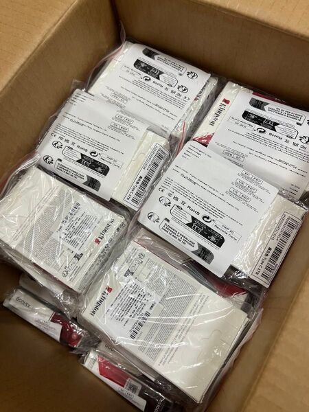 KINGSTON Xs1000 1tb Type-cポータブル プラスチックケース付き対応 高速外付けssd 30個セット
