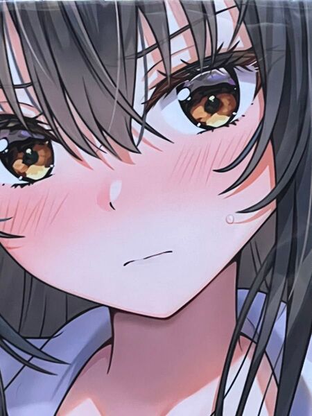 ToLOVEる 古手川唯 ぶるぶれ clear 抱き枕カバー 特殊版