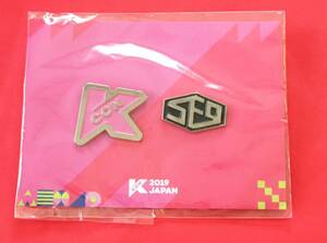 SF9 エスエフナイン KCON 2019 公式 ピンバッジ セット即決 チャニ フィヨン テヤン ロウン インソン ダウォン ZUHO ヨンビン ジェユン