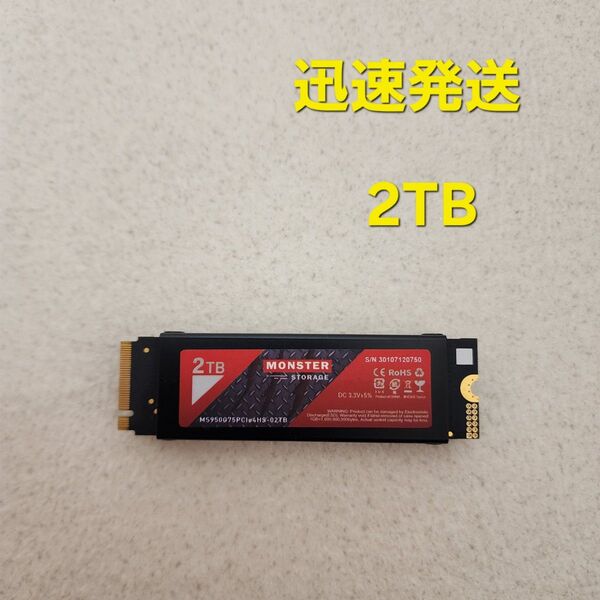 SSD 2TB モンスターストレージ