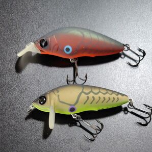 デュエル 魚舞流 2個セット