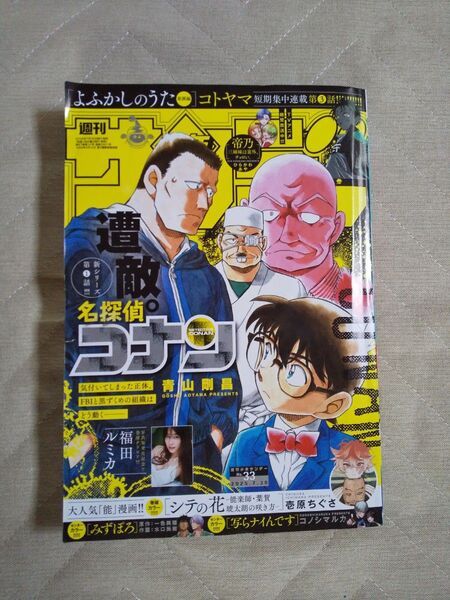週刊少年サンデー33号7月16日発売 2025年7月30日号 (小学館)