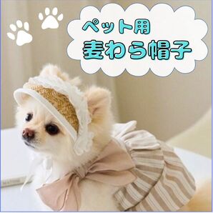 犬服 帽子 麦わら 小型 ペット サンバイザー 小型犬 ペットグッズ 紫外線対策