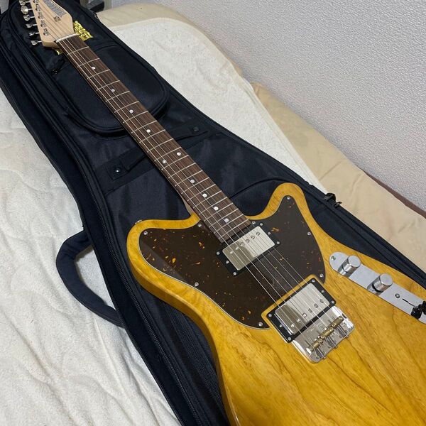 FREEDOM CUSTOM GUITAR RESEARCH C.S. Shaker