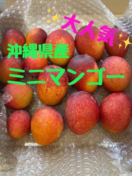 沖縄県産 完熟ミニマンゴー【箱込み1.1kg】