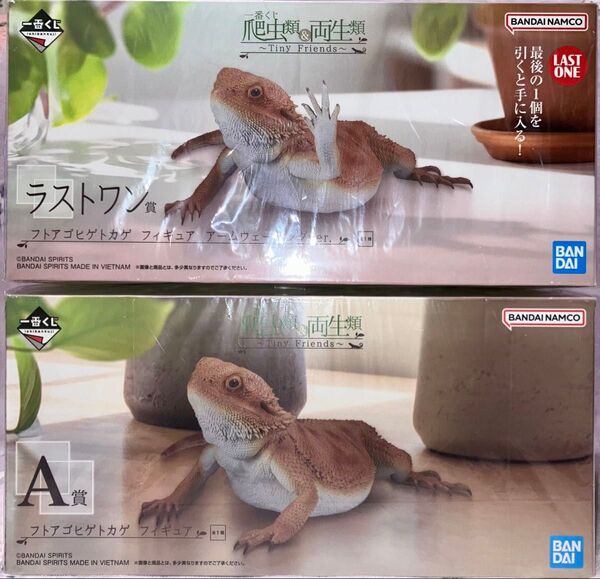 一番くじ 爬虫類&両生類 Tiny Friends A賞&ラストワン賞 フトアゴヒゲトカゲ 2種セット
