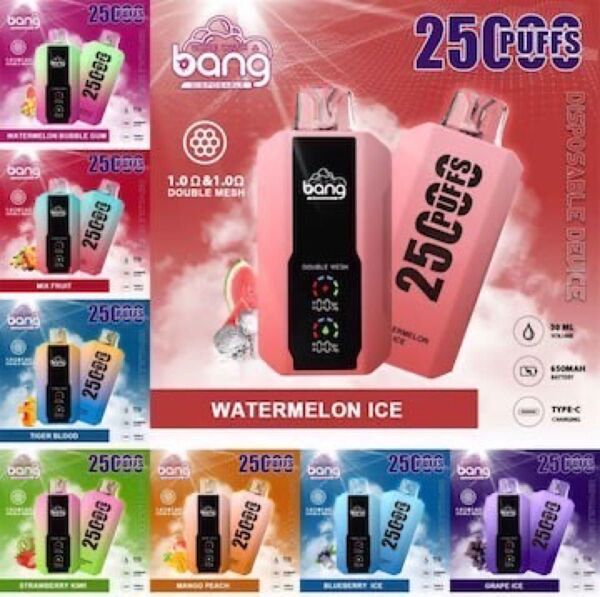 ニコパフ 25000PUFFS にこぱふ