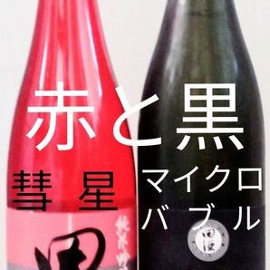 田酒 純米吟醸 『彗星』『マイクロバブル生原酒』720ml各1本