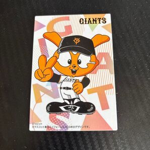 読売ジャイアンツ プロ野球チップスカード ジャビット