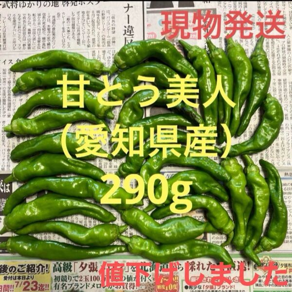 甘とう美人(愛知県産)290g
