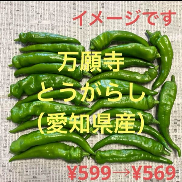 万願寺とうがらし(愛知県産)300g