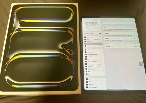 iPad Pro M4チップ 13インチ WiFi 256GB ケース付き
