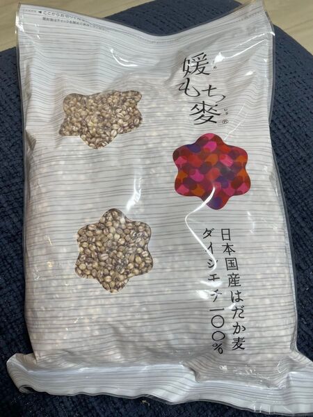 国産 ブランド もち麦 媛もち麥 1kg 愛媛県産 ダイシチモチ