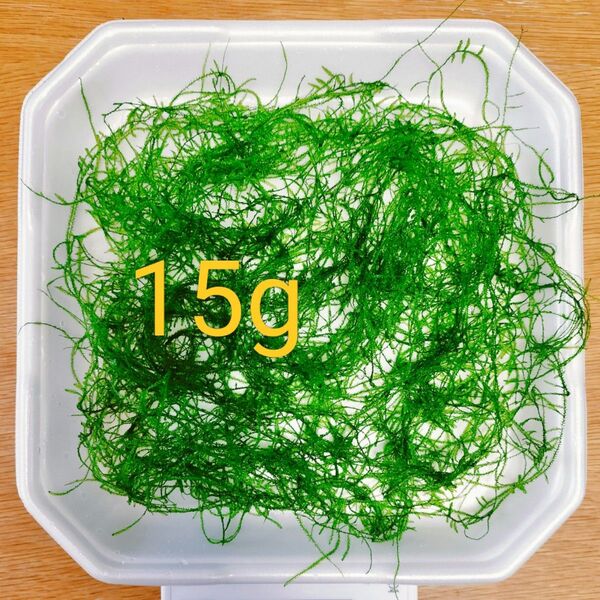 15g 水草 ●ウィローモス 15g