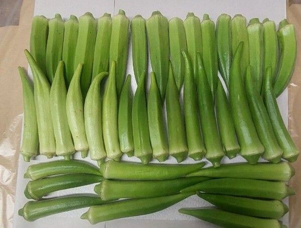 オクラ(角、丸混合)500g