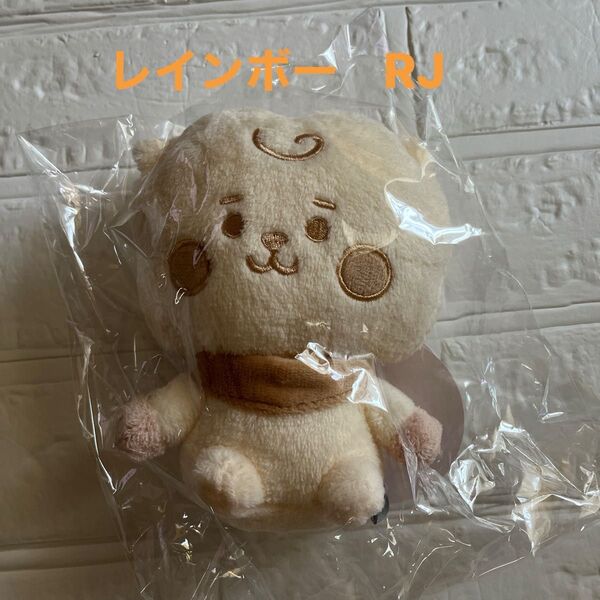 BT21 BABY 5周年記念 レインボーカラー パステル ぬいぐるみ RJ