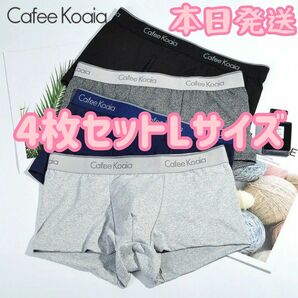 ボクサーパンツ メンズ 4枚セット 下着 XLサイズ(日本サイズのLサイズ)ファッション パンツセット パンツ 下着まとめ売り