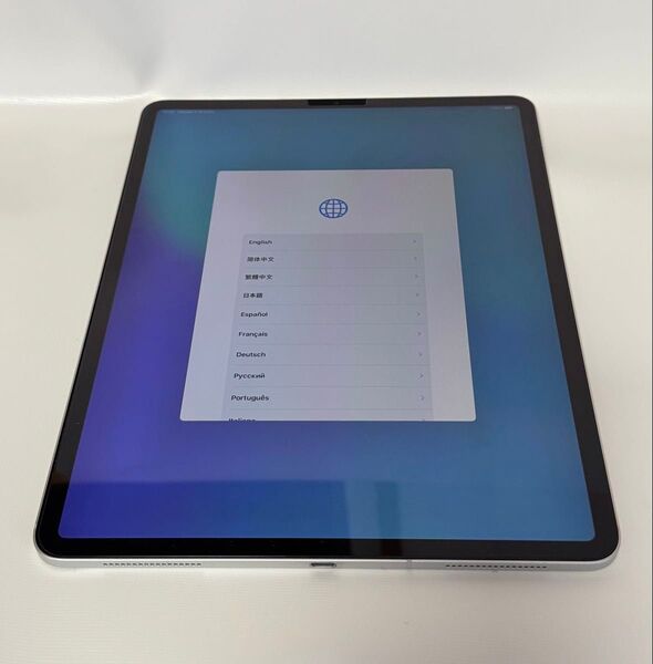美品 SIMフリーApple iPad Pro 12.9インチ 第3世代 512GB Wi-Fi + Cellular おまけ付