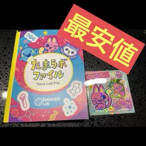 【最安値】たまごっちパラダイス たまラボファイル たまラボステッカー みゃおっち
