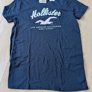 Hollister Tシャツ ネイビー M 新品未使用