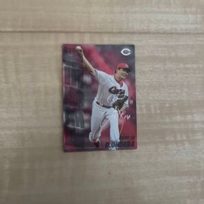 プロ野球チップスカード