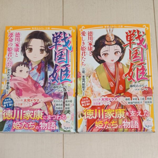 戦国姫 徳川家康と愛しき姫君たち、徳川家康と運命の姫君たち 2冊セット