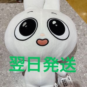 Kkamung&Angto めちゃもふぐっと ぬいぐるみ〜Angto〜