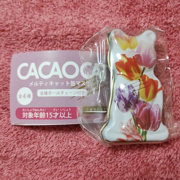 CACAOCAT メルティキャット缶マスコット TULIP
