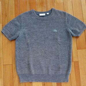 LACOSTE 半袖サマーニット グレー メンズ