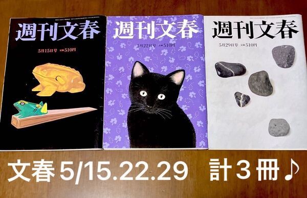 週刊文春 2025年5月29.22.15日号 合計3冊♪皇室、石破政権、永野芽郁、中居正広他