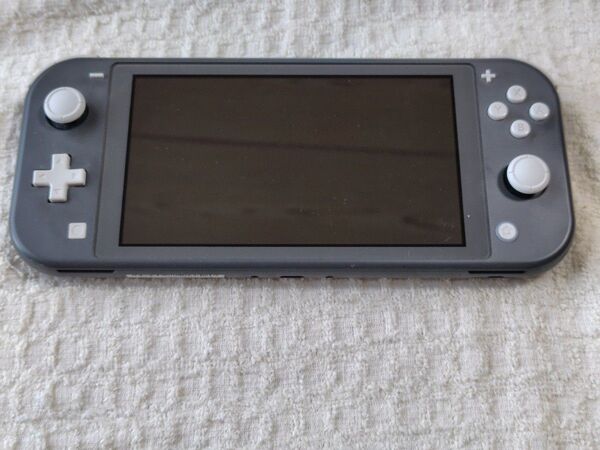 Nintendo Switch Lite グレー 本体