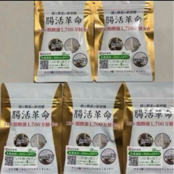 【5袋】おまとめ売り!腸活革命 協和食研 乳酸菌