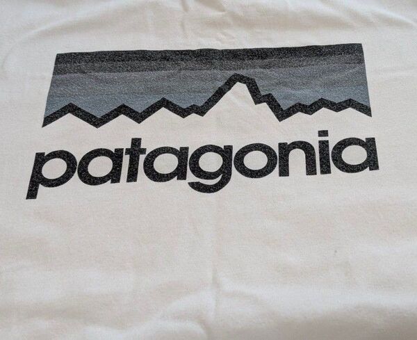 patagonia パタゴニア PATAGONIA Tシャツ Lサイズ ホワイト バックプリント 白 オーガニックコットン