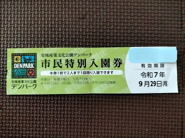 デンパーク 入園券②