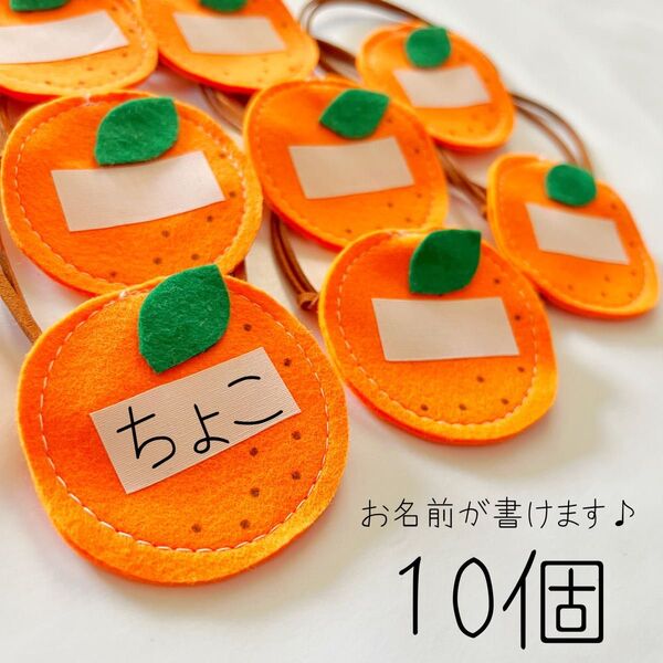 【056】犬用チョーカー トリミングリボン くだもの お名前みかん 10個