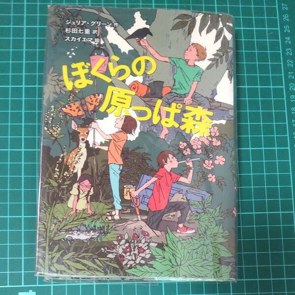 ぼくらの原っぱ森 (文学の森) ジュリア・グリーン/作 杉田七重/訳 スカイエマ/絵