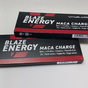 【厳選マカ&エネルギーチャージ】ブレイズエナジー BLAZE ENERGY マカ チャージ 30日分 亜鉛 2箱セット