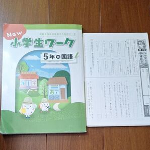 小学5年生 国語 ワーク