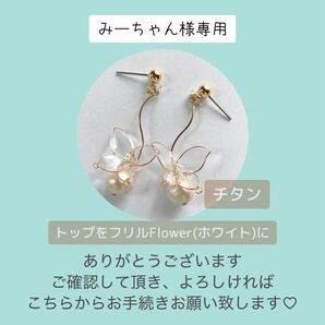 みーちゃん様専用